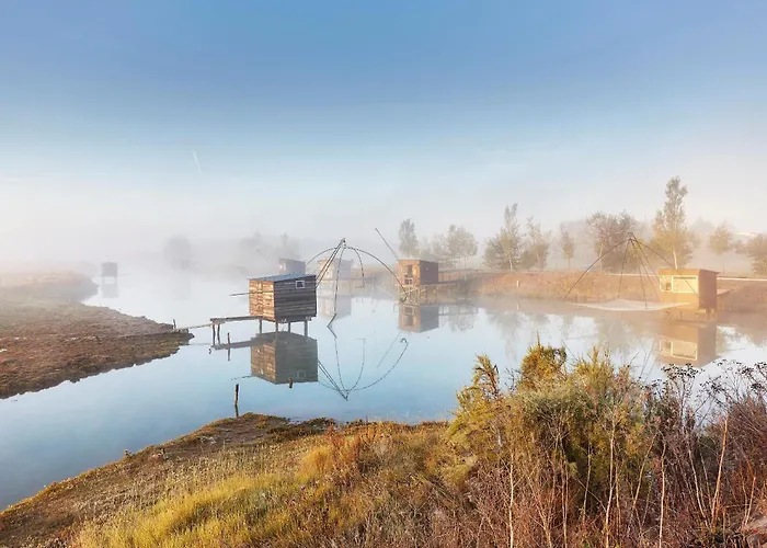 Le Reflet Des Dunes - Jardin - 300 M De La *