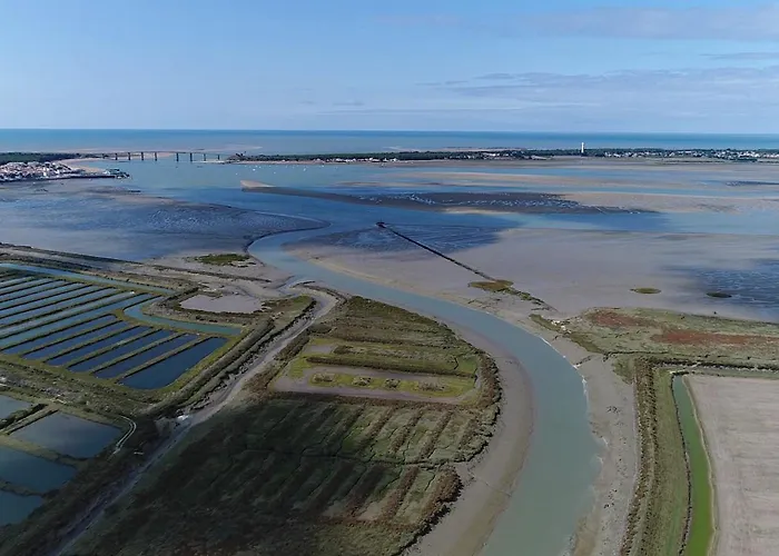 度假居 Le Reflet Des Dunes - Jardin - 300 M De La *